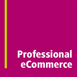 E-commerce professionale Come creare un negozio online a costi contenuti, latina, roma, aprilia, frosinone, fondi, valmontone, sora, isernia, molise