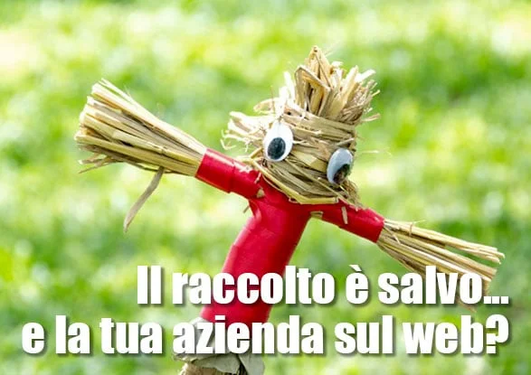 Realizzazione siti per aziende agricole 4 Realizzazione siti web per aziende agricole