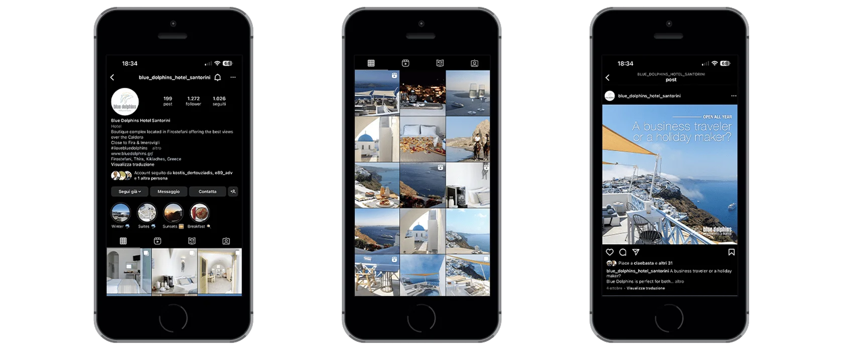 realizzazione-siti-web-e89-3 Posizionamento sito web sui motori di ricerca Hotel Blue Dolphins