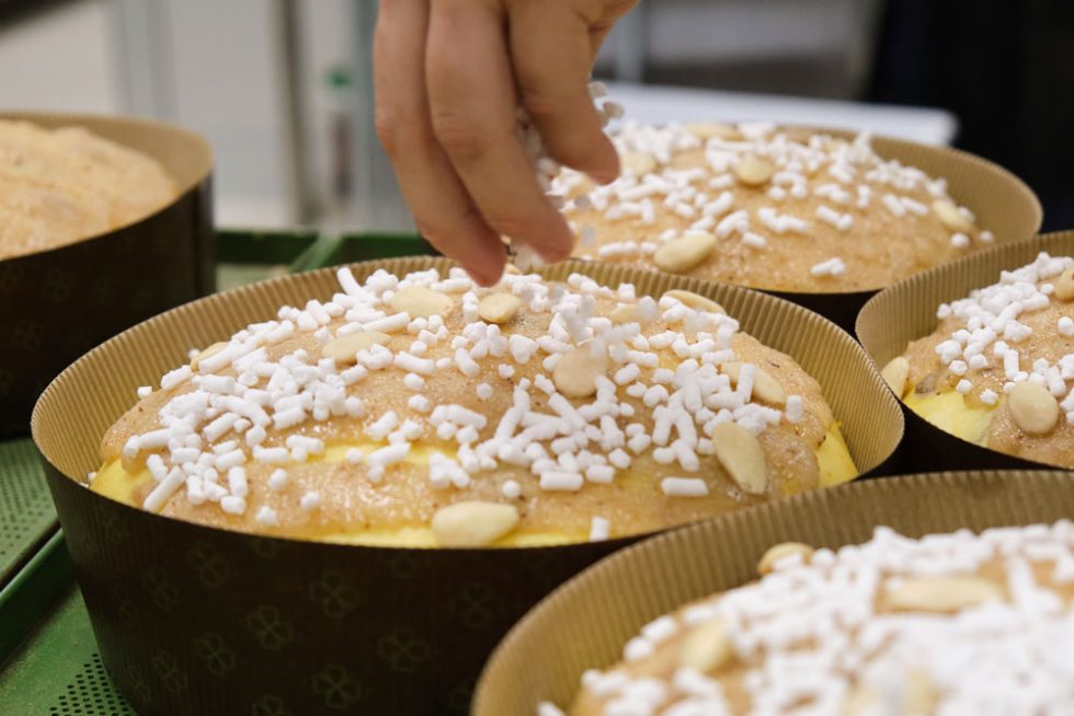 Panettone - Waves Gaeta - Fotografia food e Pubblicitaria